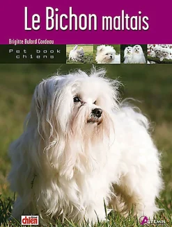 Artémis - Le Bichon Maltais