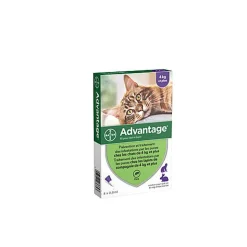 Bayer - Pipettes Antiparasitaires Advantage 80 pour Chat/Lapin - 4x0,8ml
