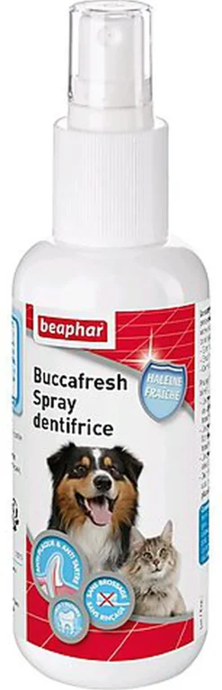 Beaphar - Solution haleine fraîche pour chien et chat- 250 ml