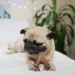 Benebone - Jouet Os à Mâcher Wishbone Bacon