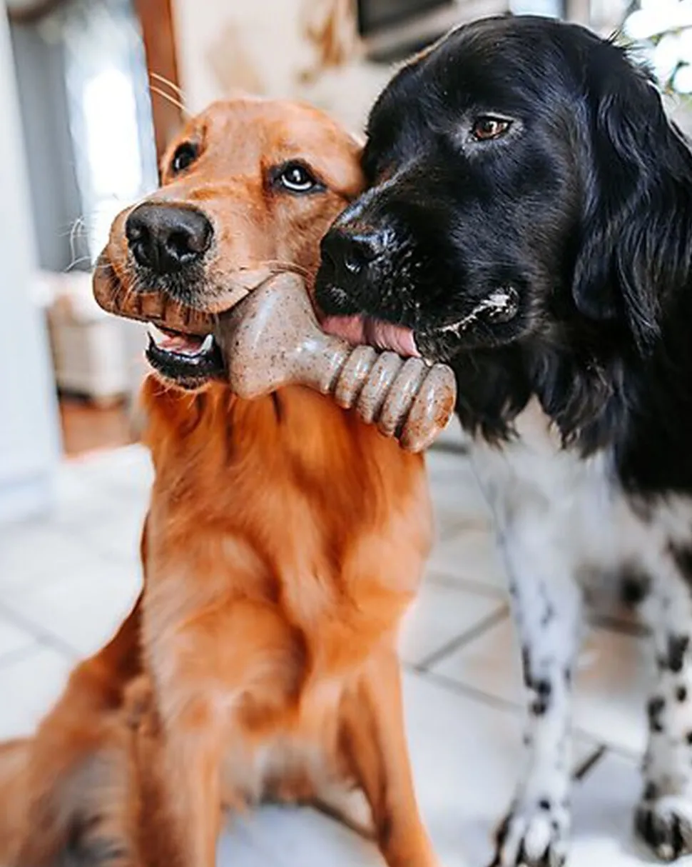 Benebone - Jouet Puppy Pack Maplestick-Zaggler Bacon