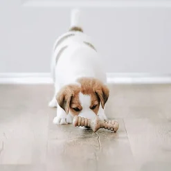 Benebone - Jouet Puppy Pack Maplestick-Zaggler Bacon