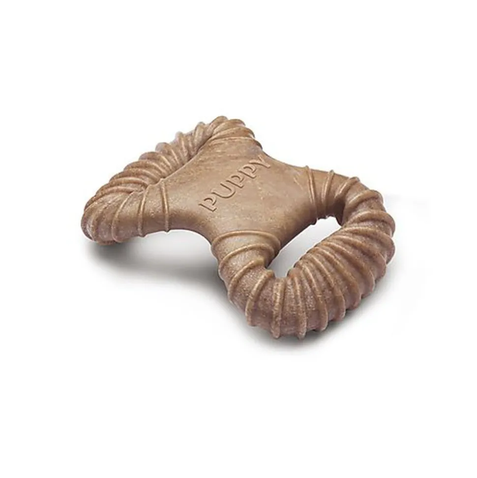 Benebone - Jouet Puppy Pack Dental Chew-Wishbone Bacon