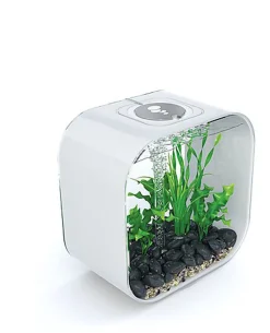 biOrb - Aquarium Life - 30 mcr blanc