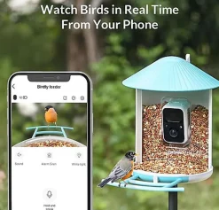 Birdfy -  Mangeoire Intelligente Avec Caméra pour Oiseaux