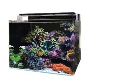 Blue Marine - Aquarium Marin Reef 120 - 50x65x50cm