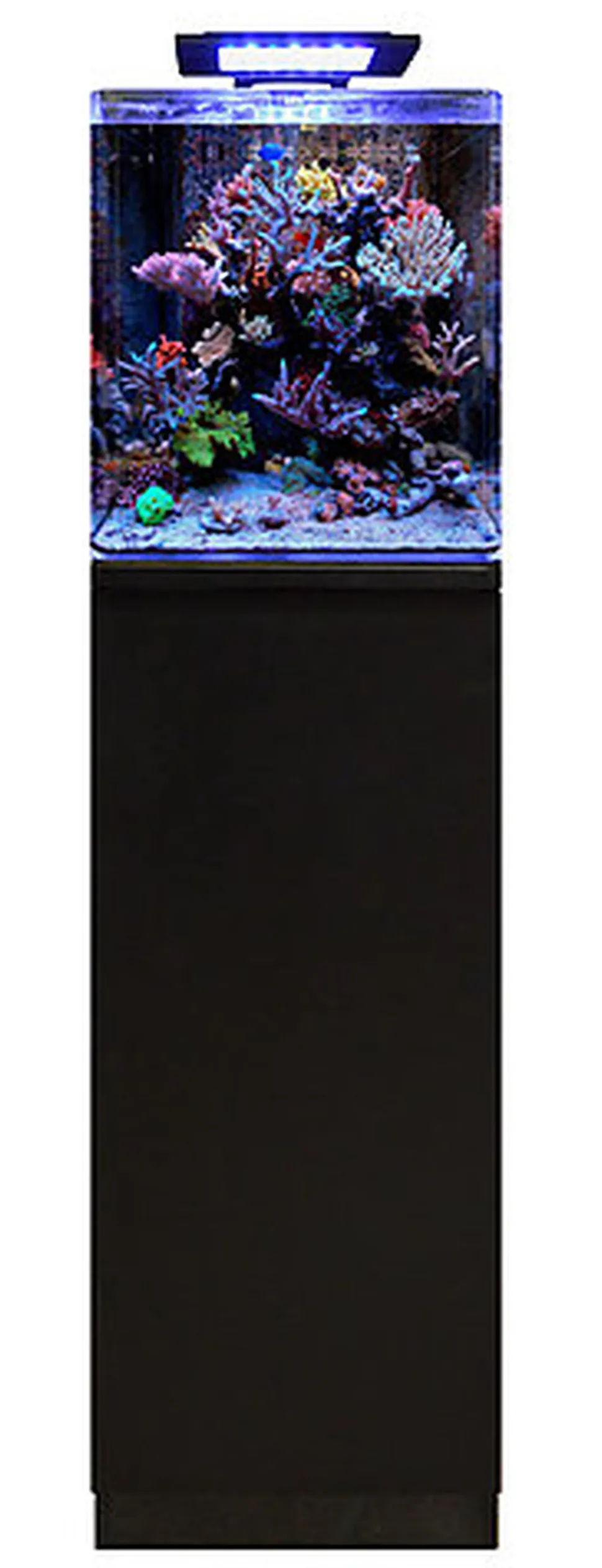 Blue Marine - Meuble Reef 60 Noir pour Aquarium Eau de Mer - 35x45x86cm