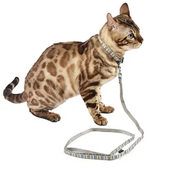 Bobby - Collier Nala Gris pour Chat - 30cm
