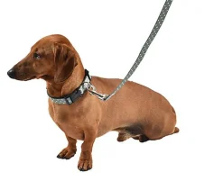 Bobby - Collier Tomy Canard pour Chiens