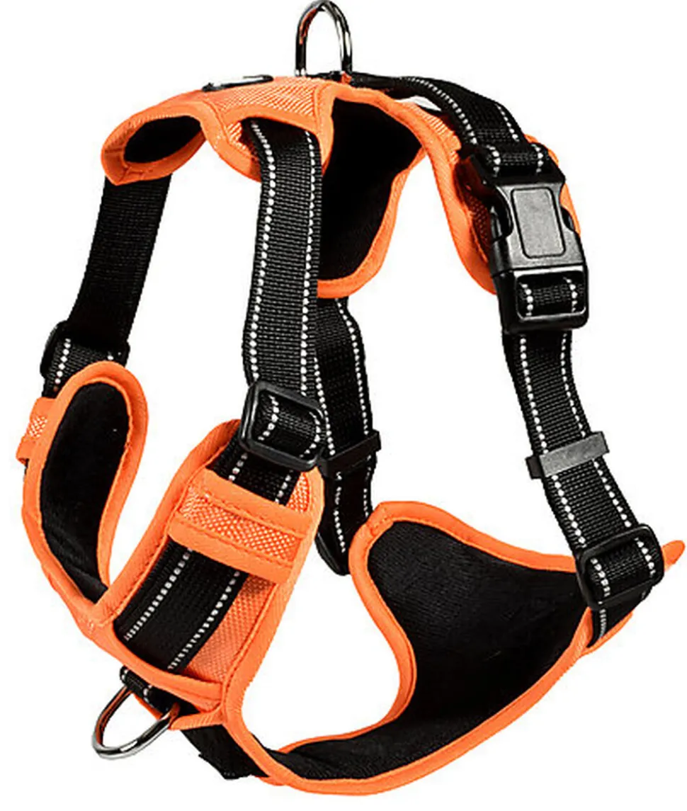 Bobby - Harnais Rando Walk Orange pour Chiens