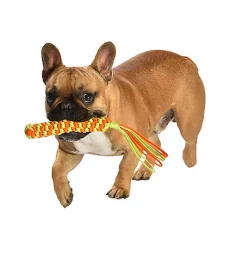 Bobby - Jouet Scouby Orange pour Chiens