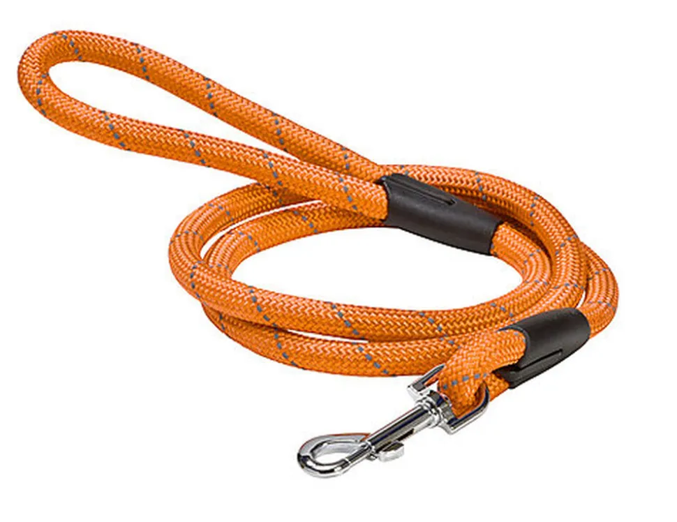 Bobby - Laisse Walk Orange pour Chiens