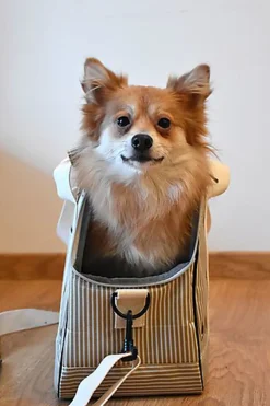 Bobby - Sac de Transport Tennis Beige pour Chiens et Chats - 45cm