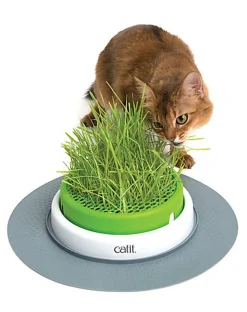 Catit - Jardin d'Herbe à Chat Senses 2.0