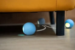 Cheerble - Balle Pelote Interactive Cheerble SE pour Chats