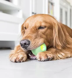 Cheerble - Balle Pelote Interactive Cheerble PE pour Chats