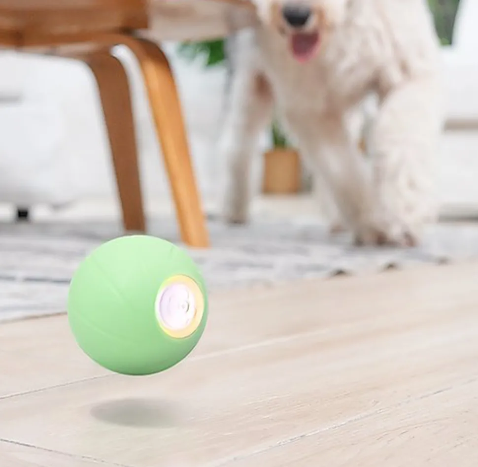 Cheerble - Balle Pelote Interactive Cheerble PE pour Chats