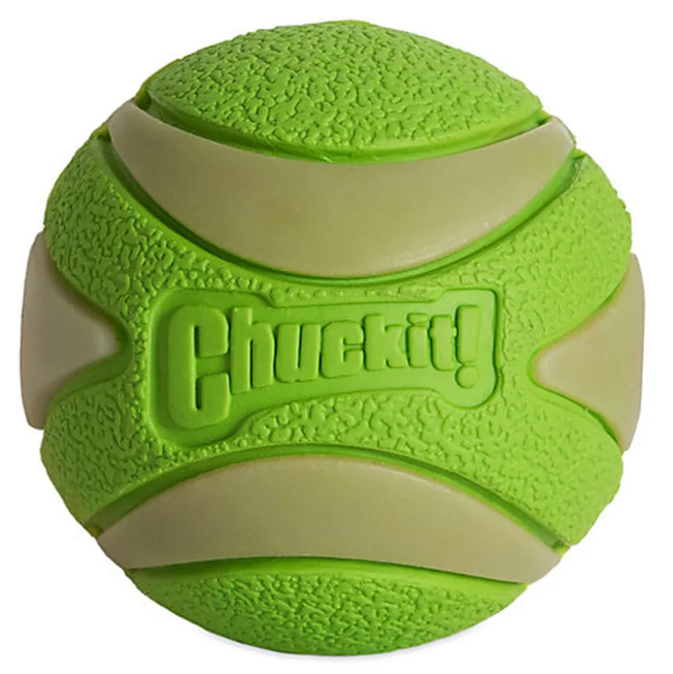 ChuckIt! - Balle Max Glow Ultra Squeaker Ball - M