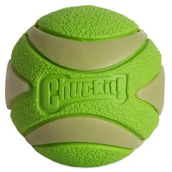 ChuckIt! - Balle Max Glow Ultra Squeaker Ball - M