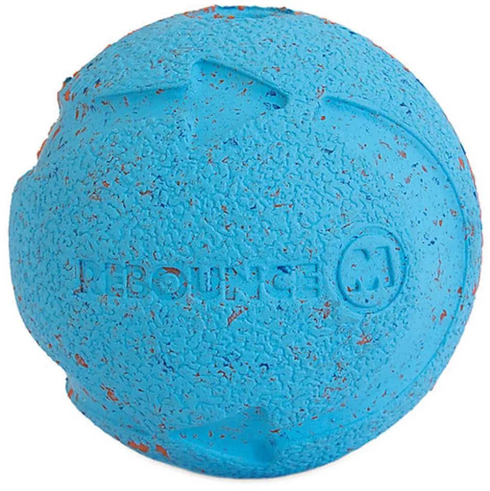 ChuckIt! - Balle Rebounce Ball pour Chiens - M