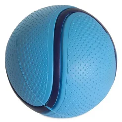 ChuckIt! - Balle Sniff Fetch Ball Bacon pour Chiens - M