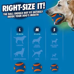 ChuckIt! - Balle Ultra Ball pour Chiens - XXL