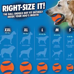 ChuckIt! - Balle Ultra Ball Pour Chiens - XL