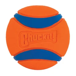 ChuckIt! - Balle Ultra Ball Pour Chiens - XL