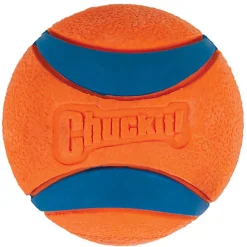 ChuckIt! - Balle Ultra Ball Pour Chiens - L