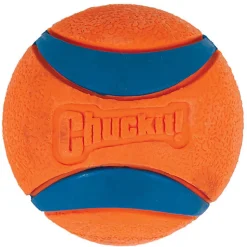 ChuckIt! - Balle Ultra Ball Pour Chiens - M