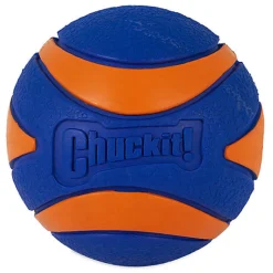 ChuckIt! - Balle Ultra Squeaker Ball Pour Chiens - M