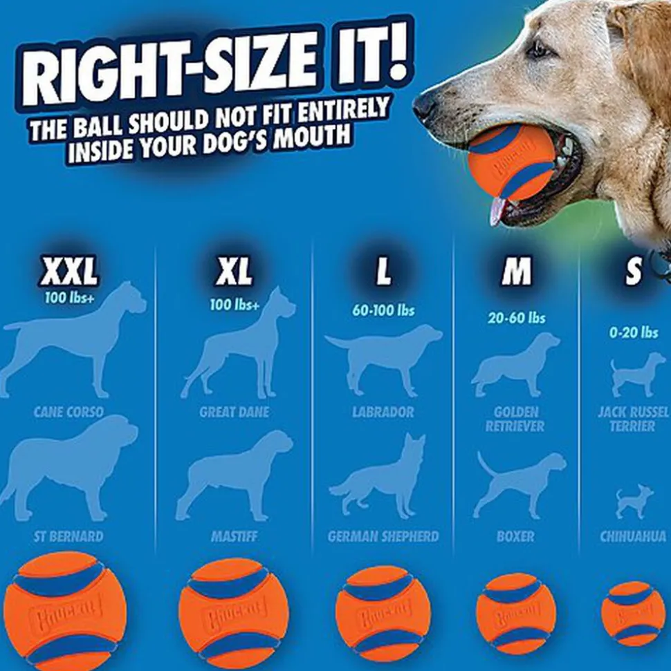 ChuckIt! - Balles Ultra Ball 2 Pack - S