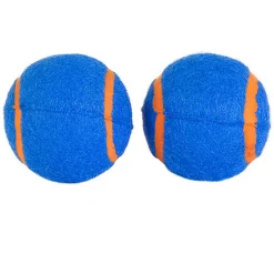 ChuckIt! - Pack 2 Balles SqueakerTennis Balls pour Chiens - S