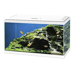 Ciano - Aquarium 60 LED - Blanc - 60X30X33,5CM