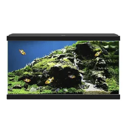 Ciano - Aquarium 60 LED - Noir