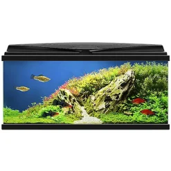Ciano - Aquarium 80 LED Noir - 80X30X41,5CM