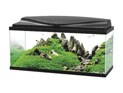 Ciano - Aquarium 80 LED Noir - 80X30X41,5CM