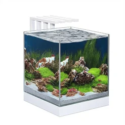 Ciano - Aquarium - Nexus Design Équipé de LED + Filtre