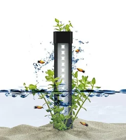 Ciano - Aquarium - Nexus Design Équipé de LED + Filtre