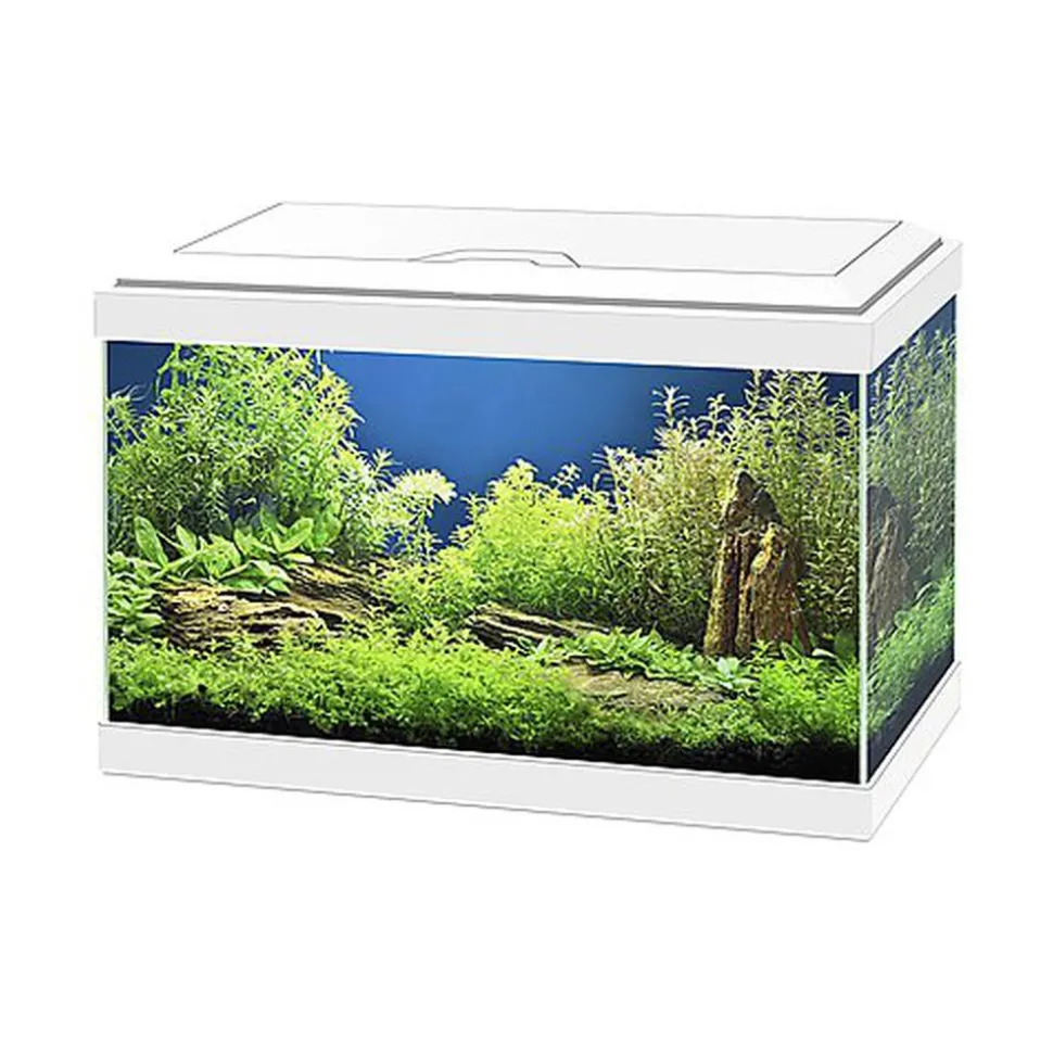 Ciano - Aquarium Classic Blanc + Filtre CF40 - 20L