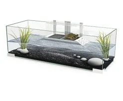 Ciano - Bac à Tortues Tartarium 80 New en Verre pour Tortues