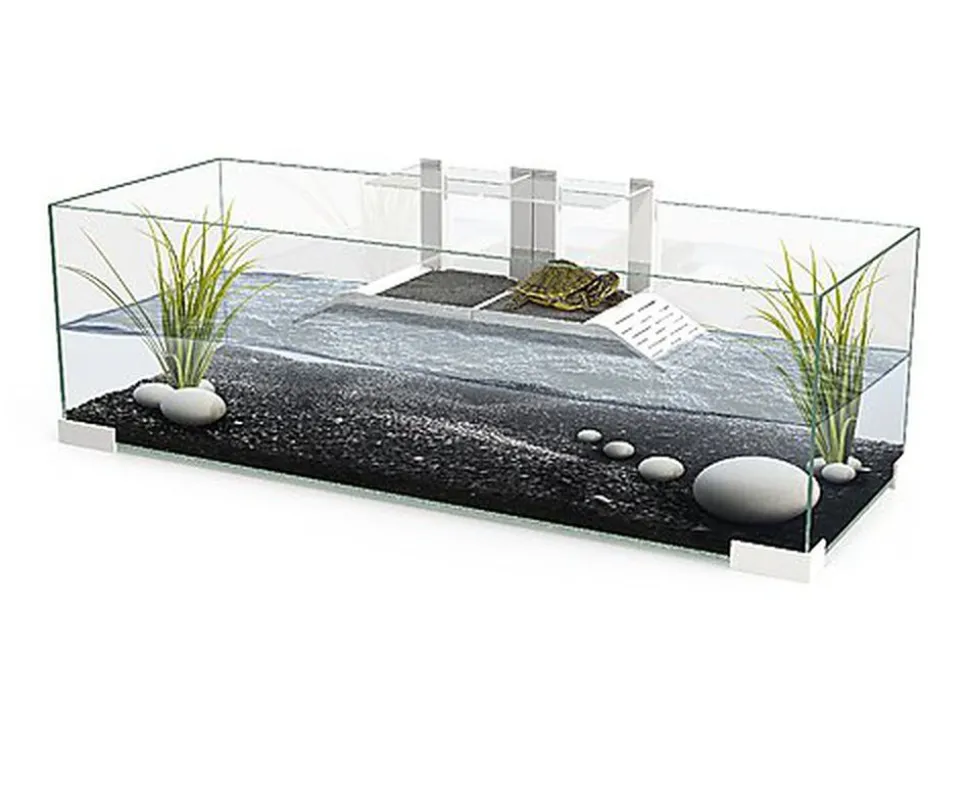 Ciano - Bac à Tortues Tartarium 80 New en Verre pour Tortues
