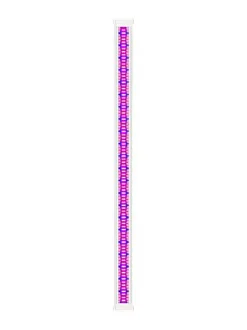 Ciano - Pack 3 Months Filtration - XL