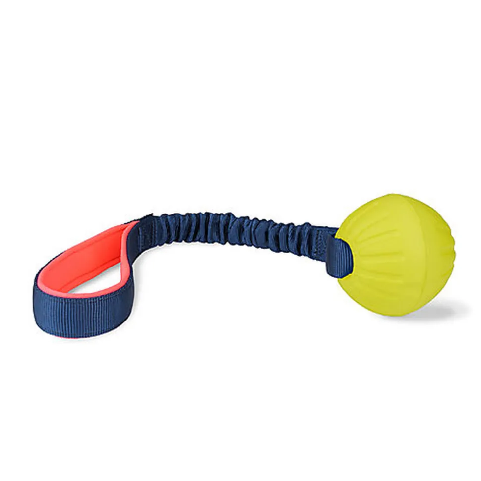 Coachi - Jouet Balle Tuggi Ball pour Chiens - 37cm
