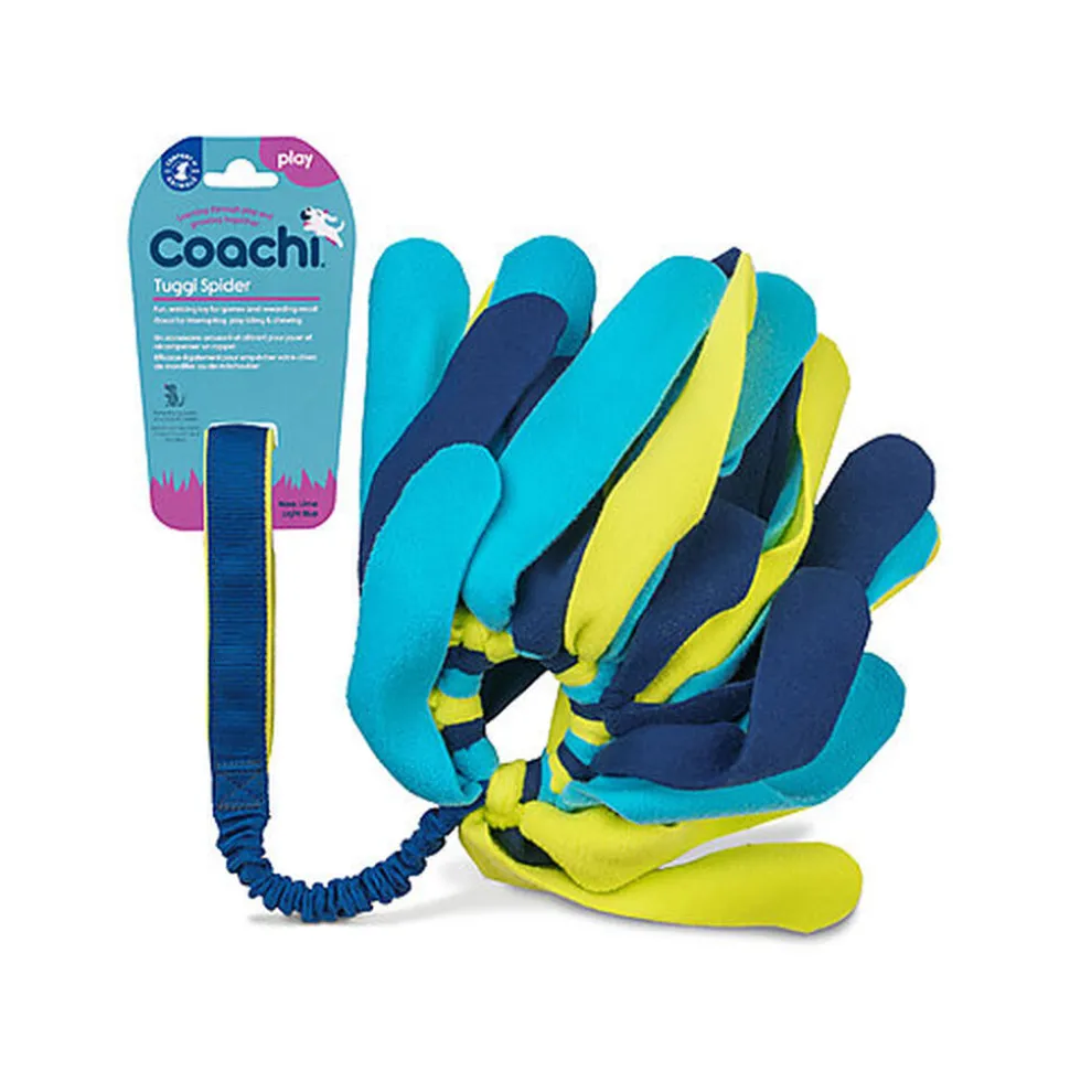 Coachi - Jouet Tuggi Spider pour Chiens - Bleu/Jaune