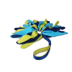 Coachi - Jouet Tuggi Spider pour Chiens - Bleu/Jaune