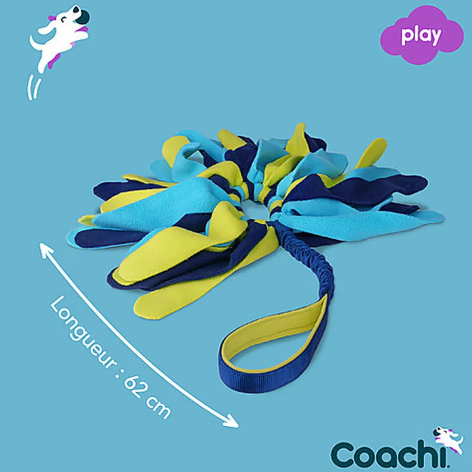 Coachi - Jouet Tuggi Spider pour Chiens - Bleu/Jaune