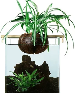 CocoPlant - Filtration Naturelle CocoGarden sans Pompe pour Aquarium
