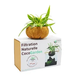 CocoPlant - Filtration Naturelle CocoGarden sans Pompe pour Aquarium