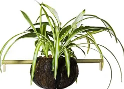 CocoPlant - Filtration Naturelle CocoGarden sans Pompe pour Aquarium